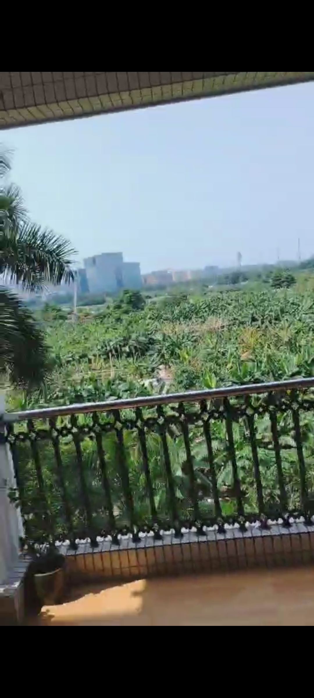 广州碧桂园 随时看房·