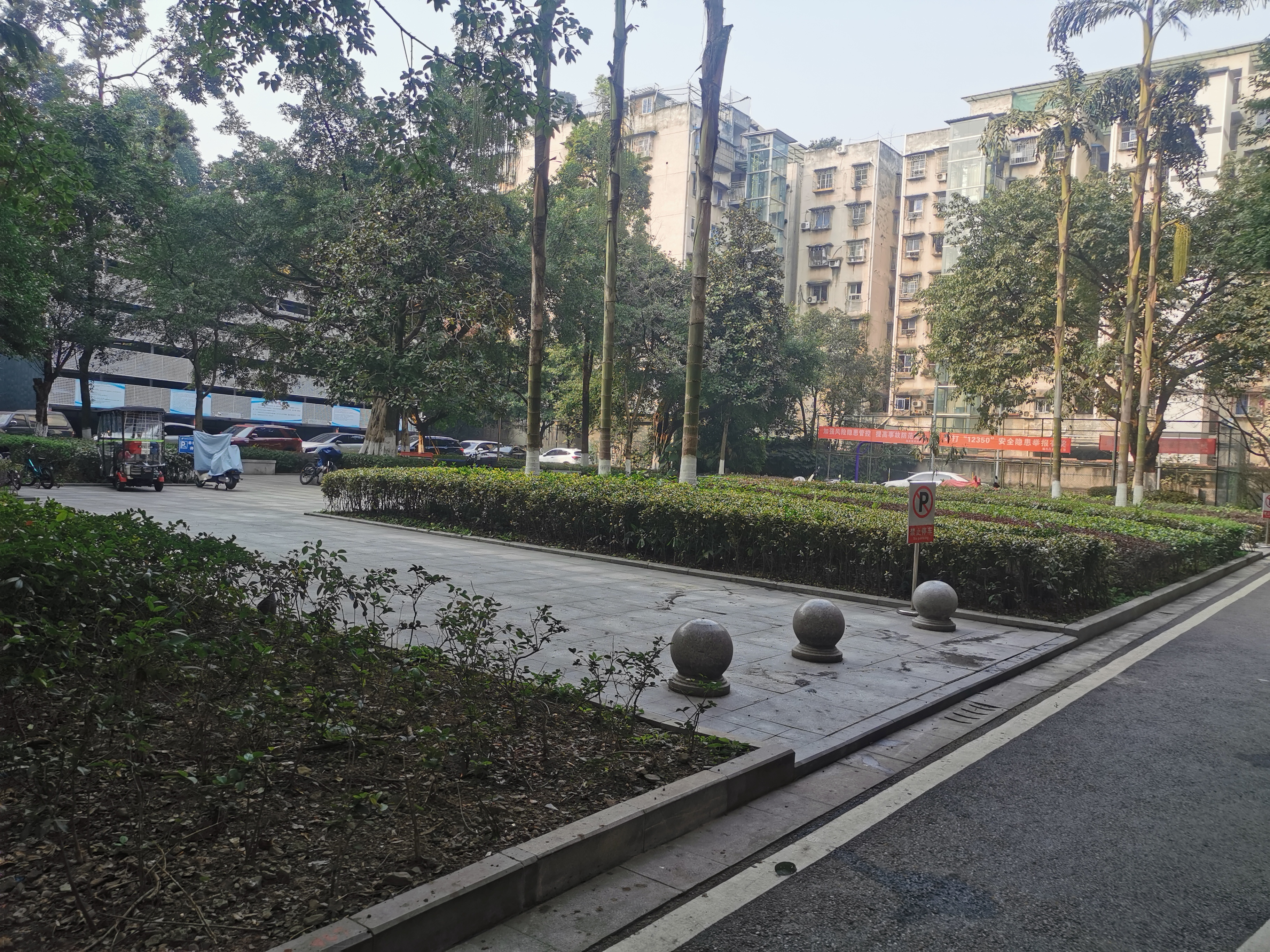 龙平街10号（民政局宿舍小区） 随时看房·