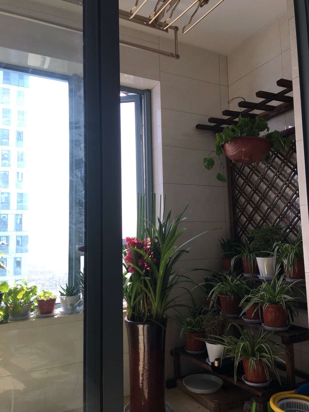 西溪永乐城 随时看房·