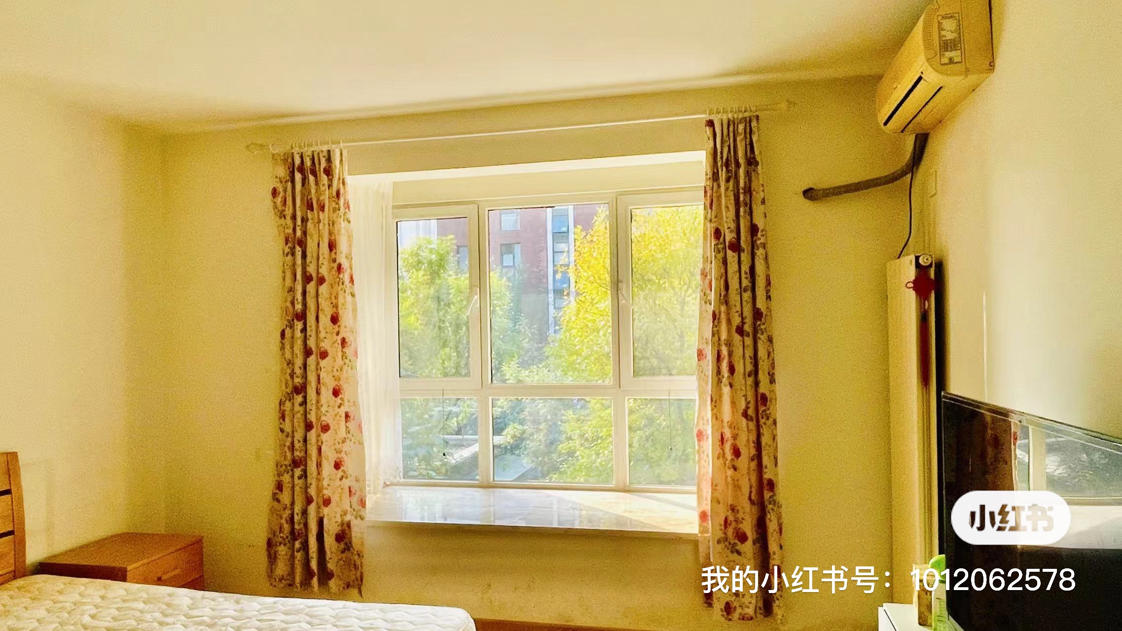 金鱼花石匠 随时看房·