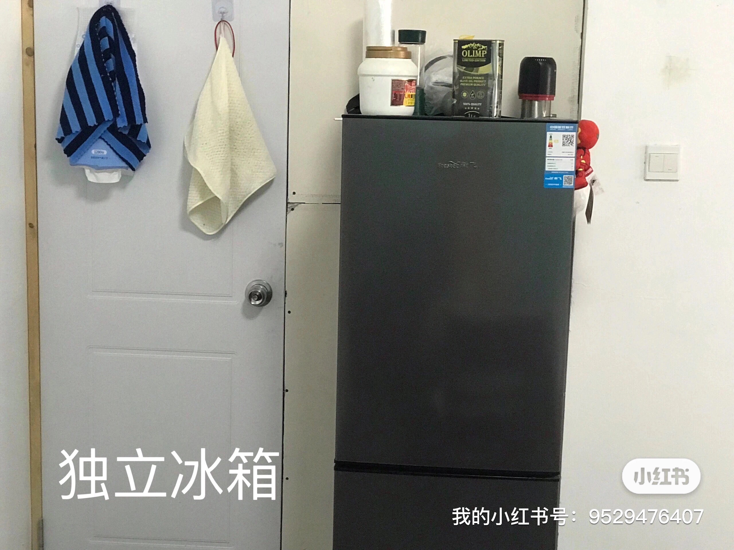新泓国际公寓 随时看房·
