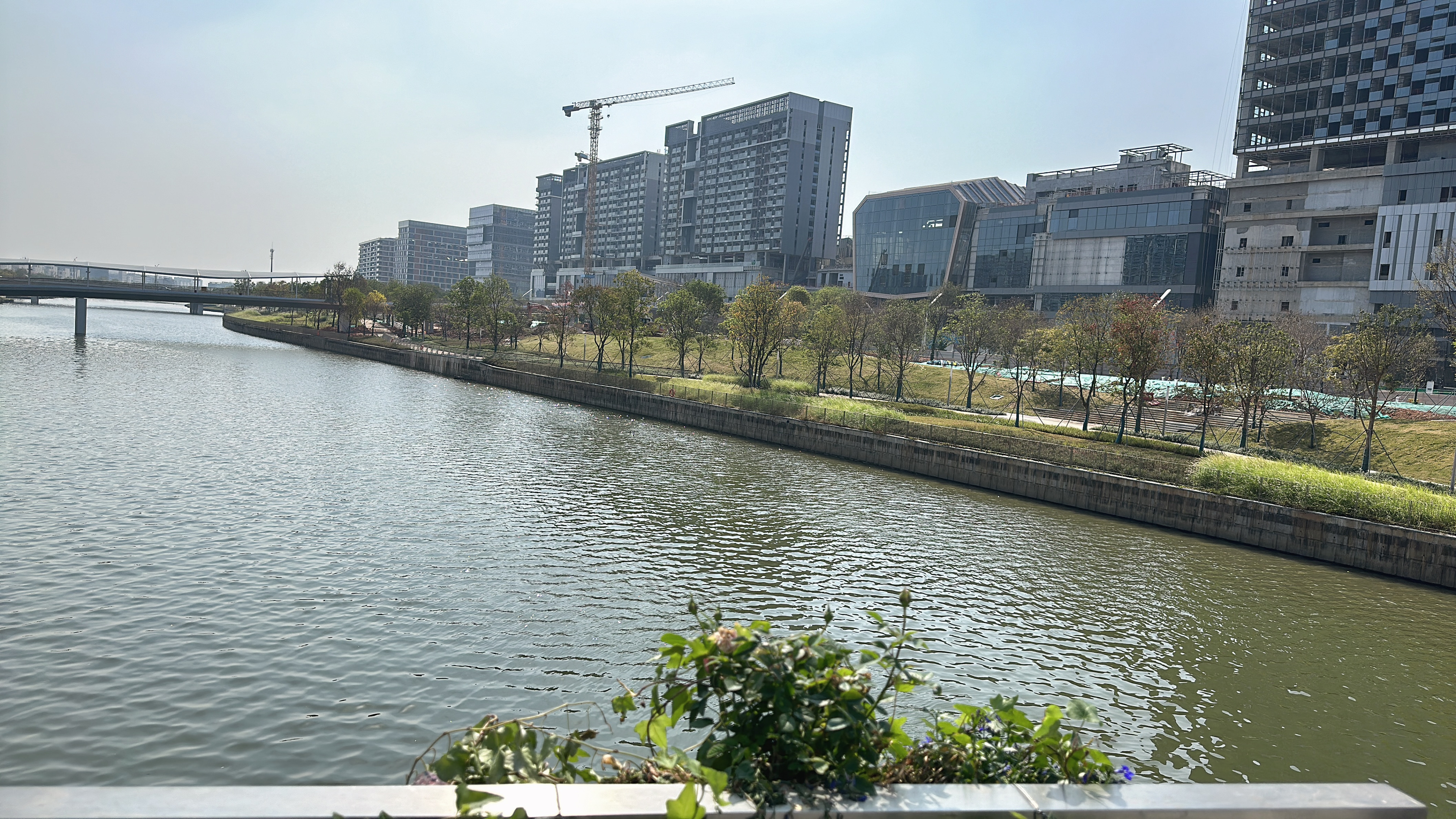 会展湾水岸 随时看房·