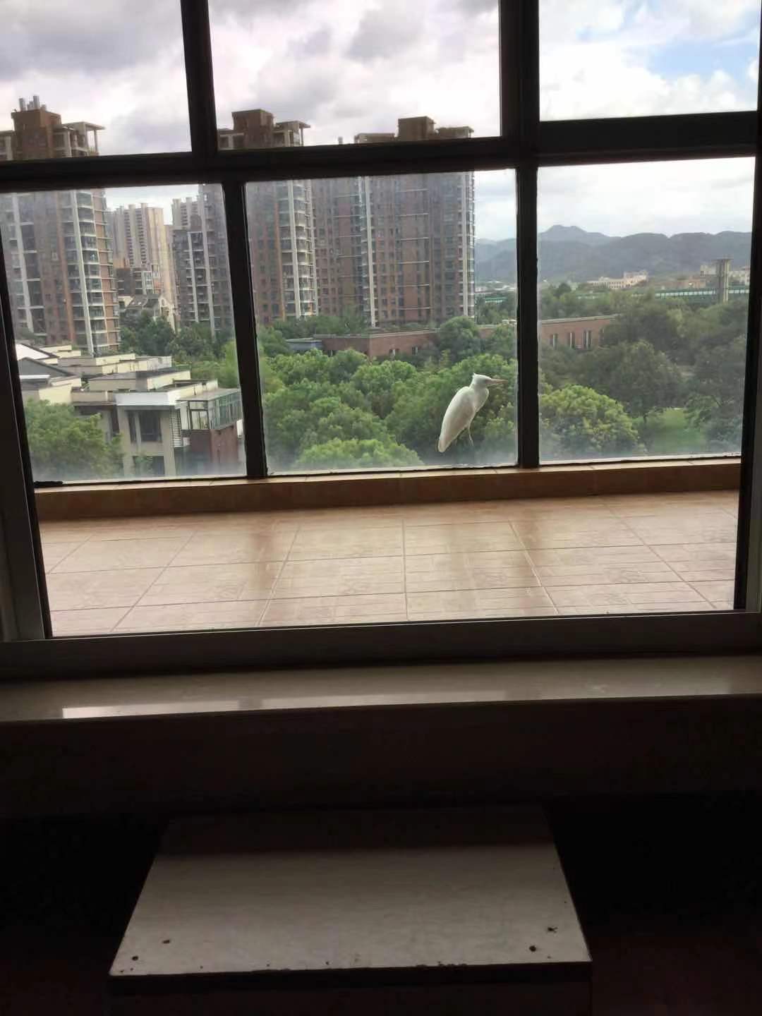 欣盛东方福邸二期 随时看房·