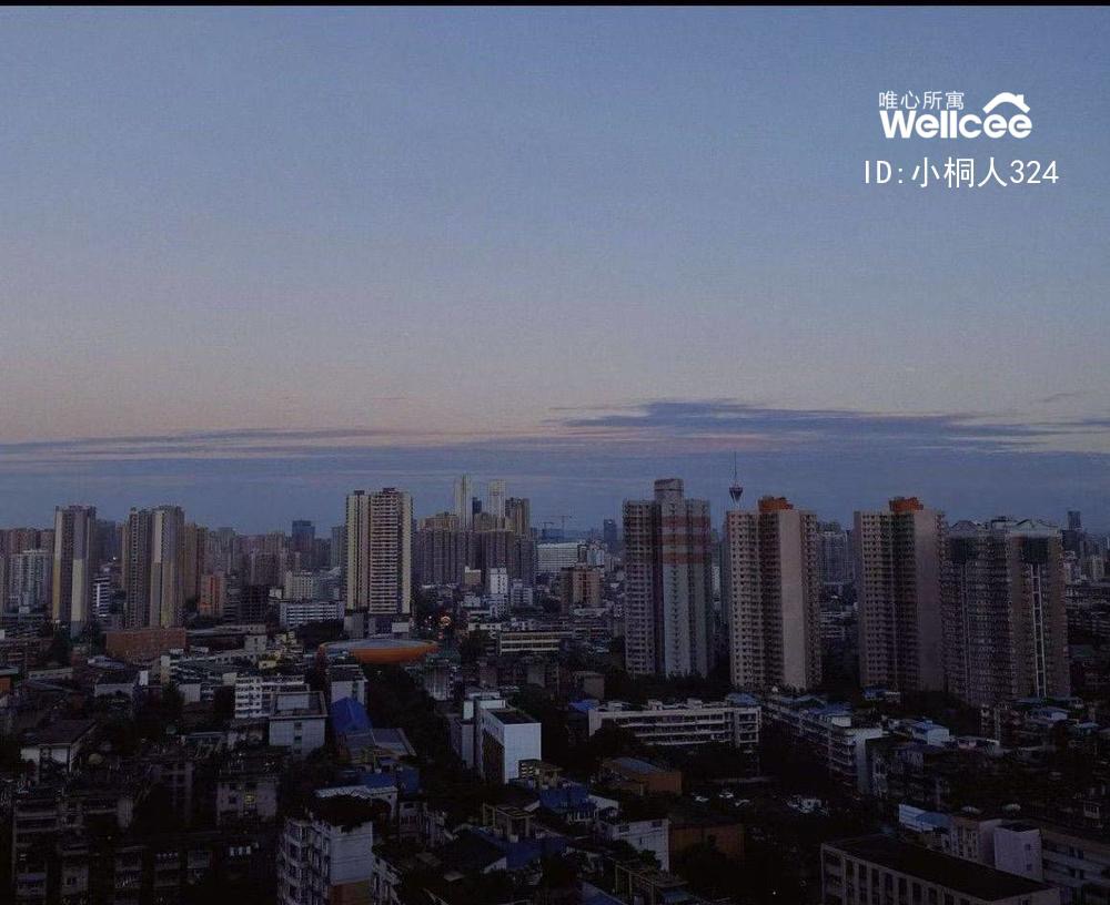 龙湖上城 随时看房·