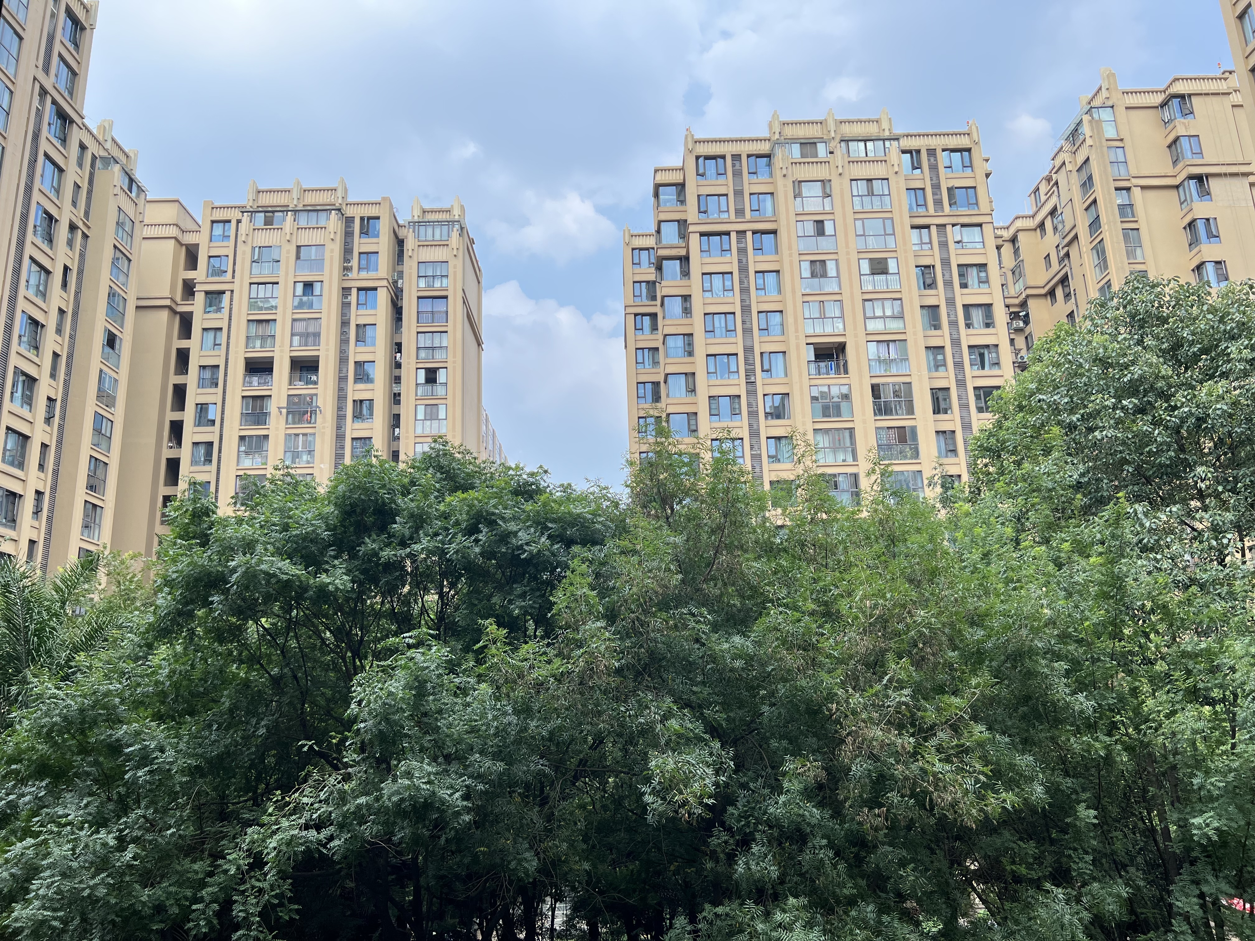 丽都世家A区 随时看房·