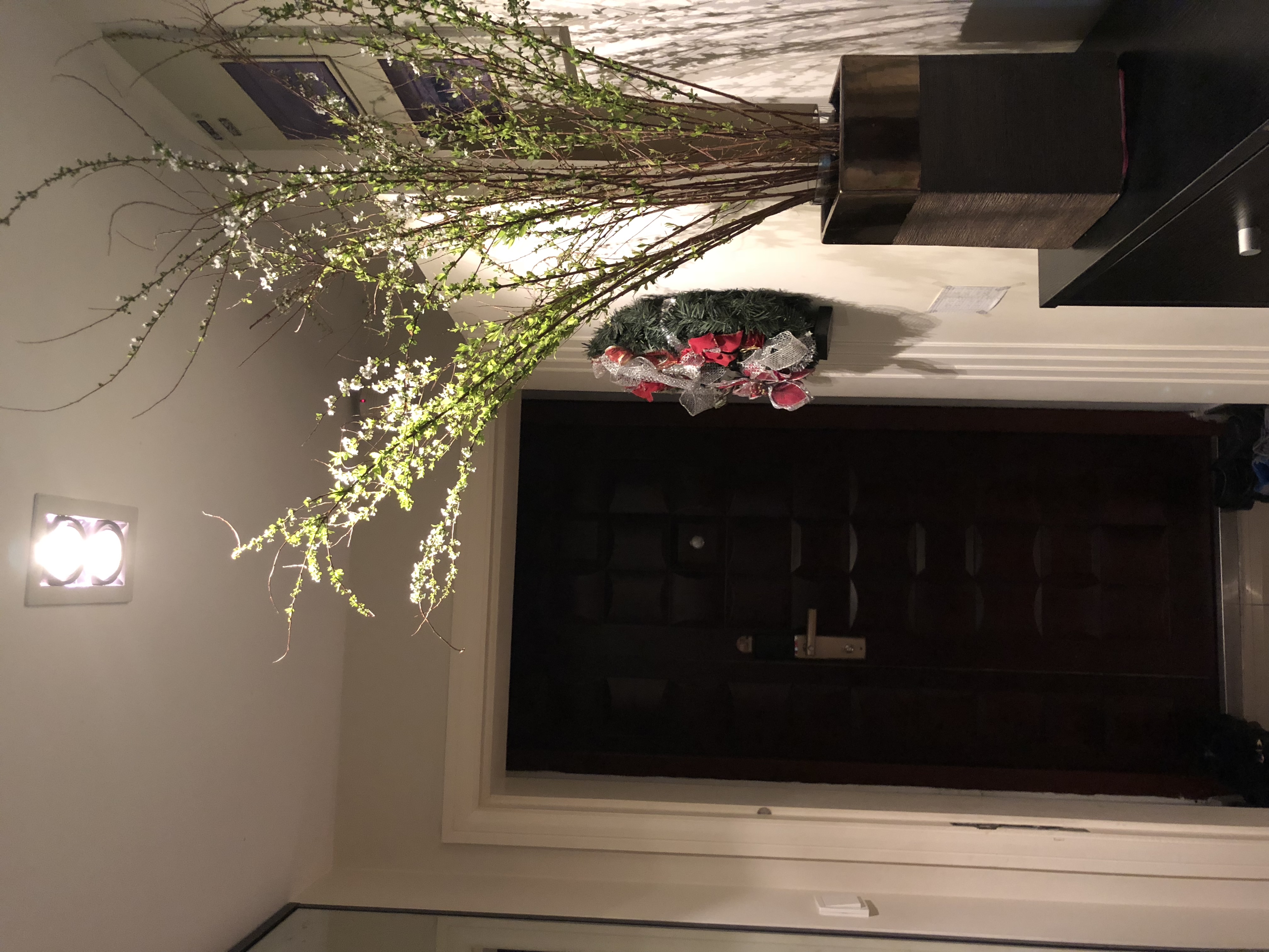 虹桥中园 随时看房·