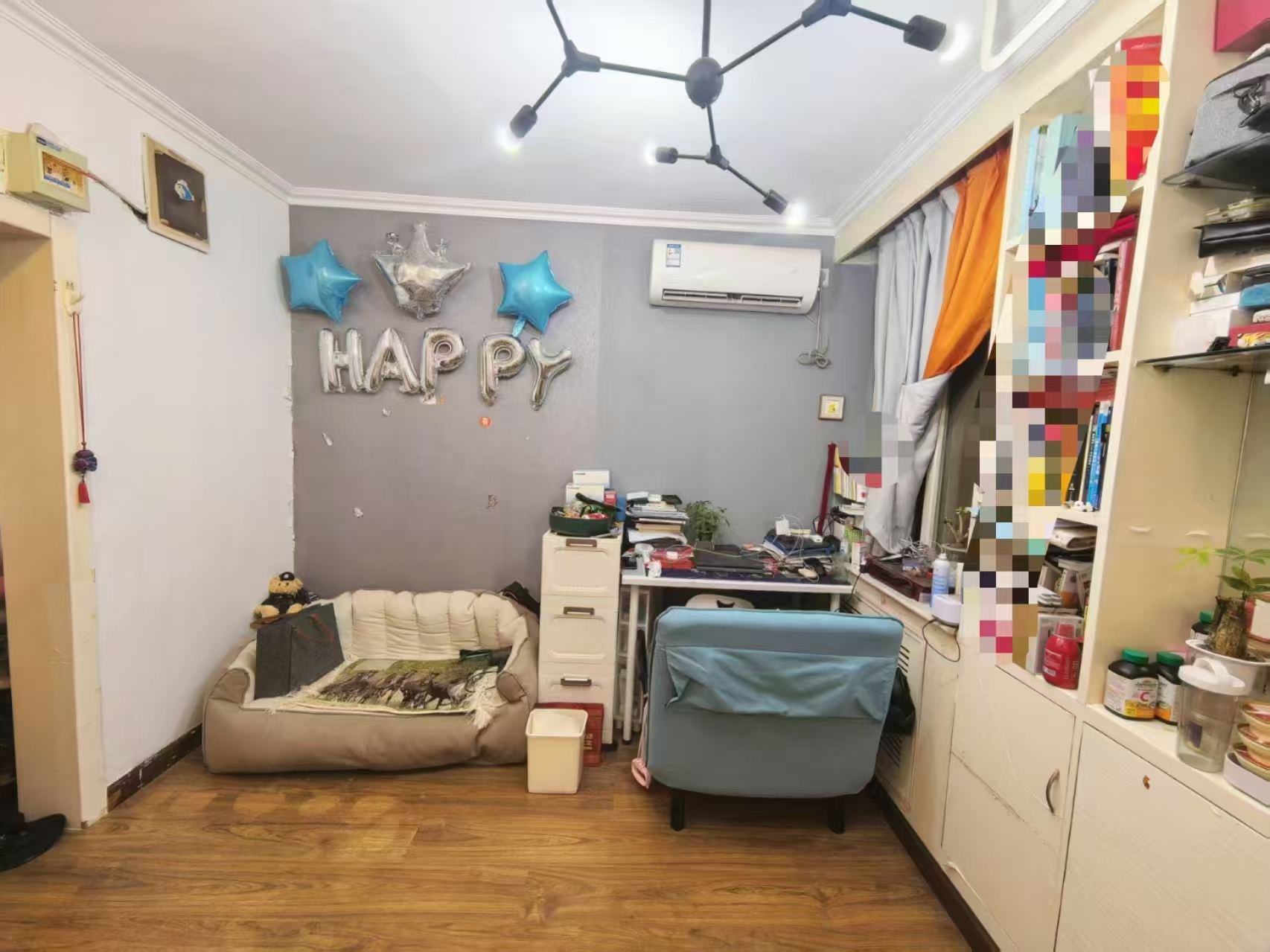 南新园 1居室 4800元/月