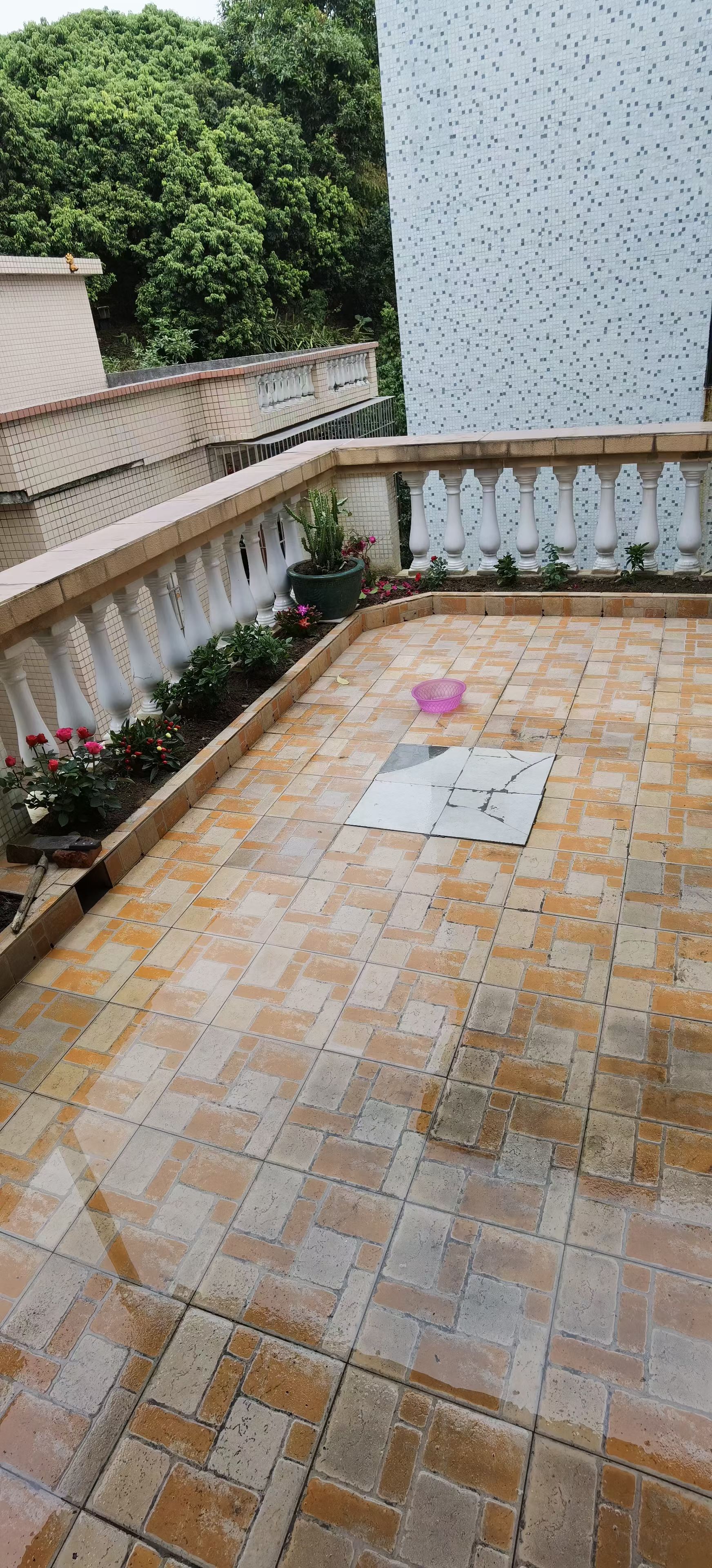 南沙区牛孖街自建房 随时看房·