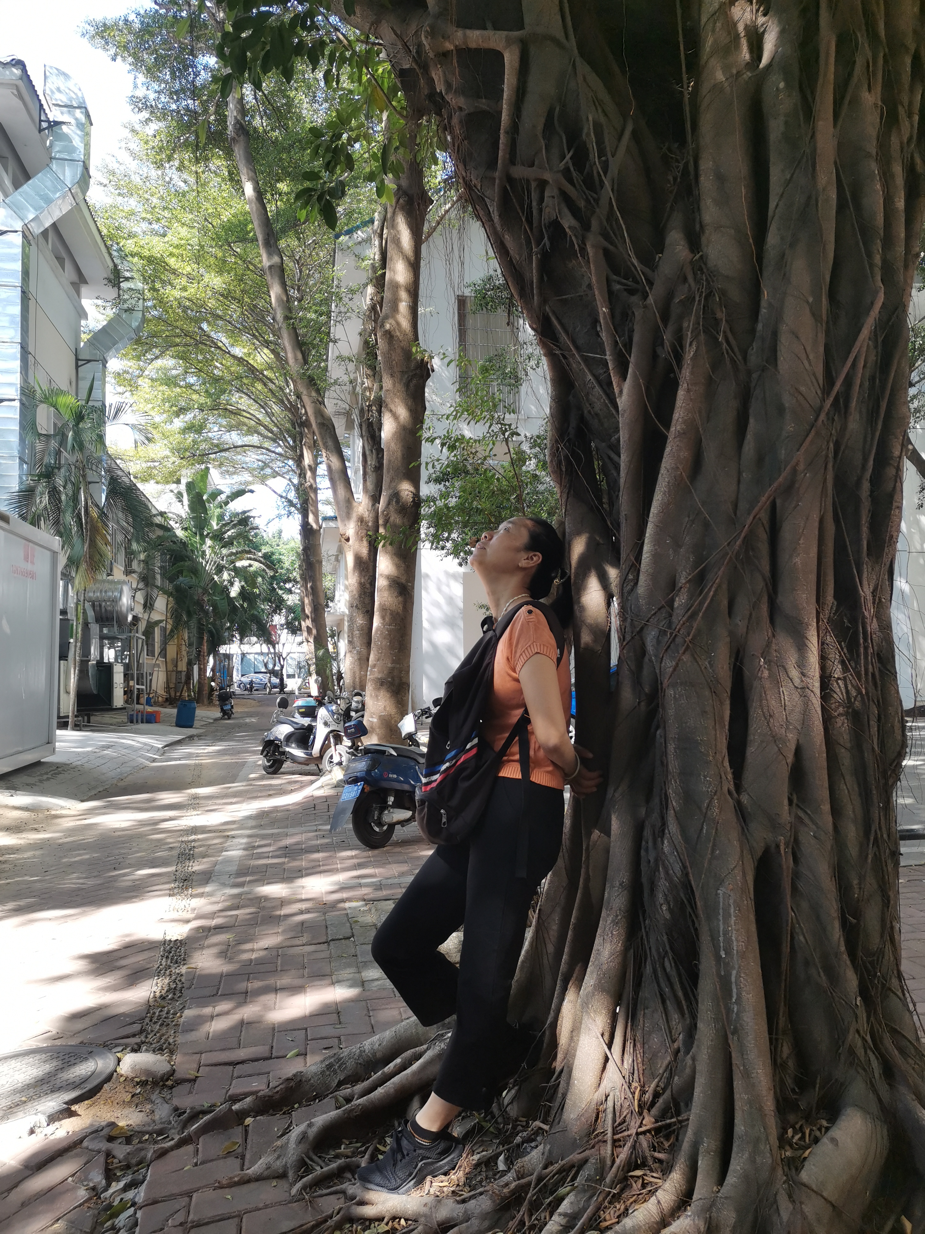 溪山嘉园东府里 随时看房·