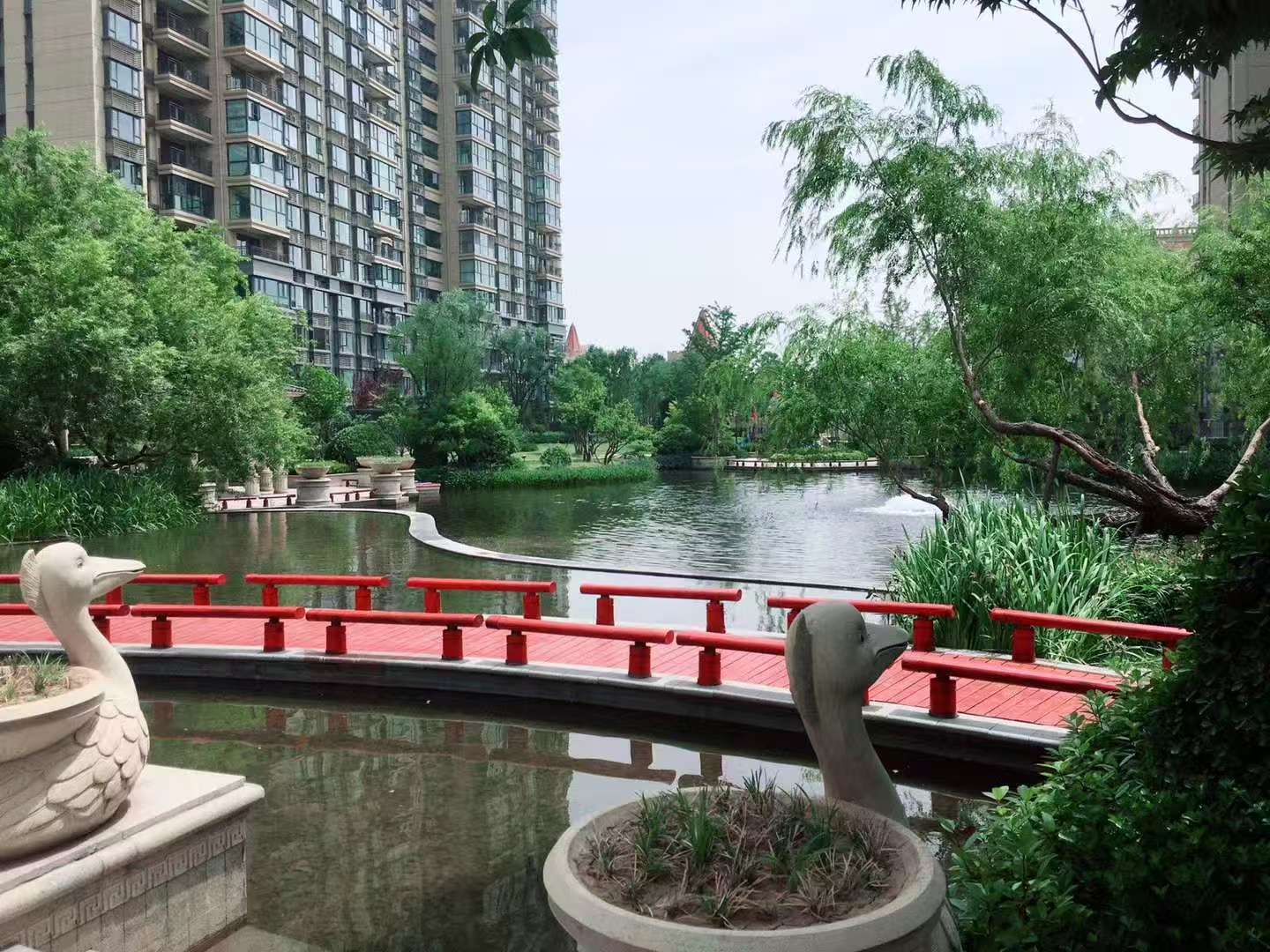 恒大城 随时看房·