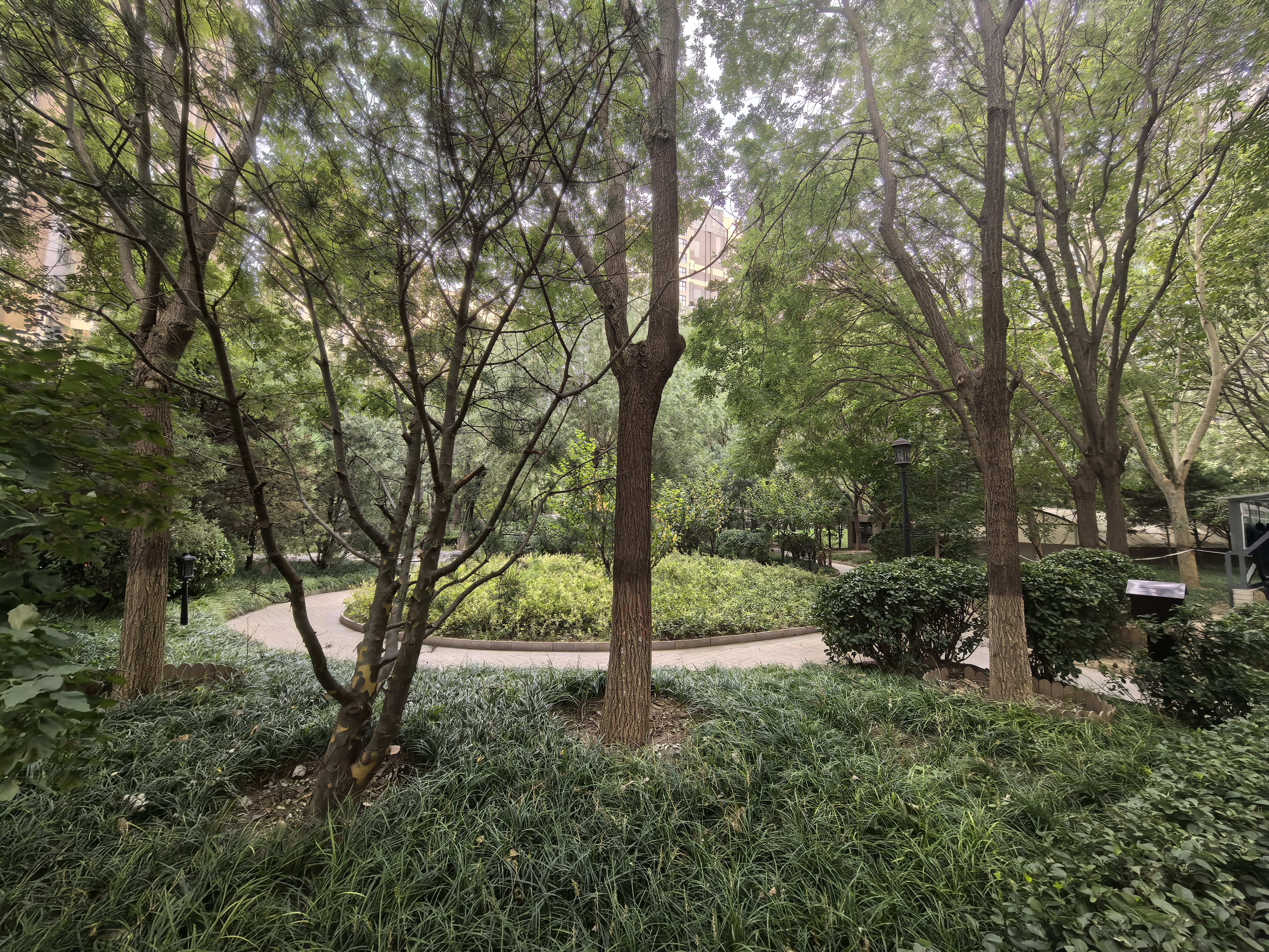 中海御鑫阁 随时看房·