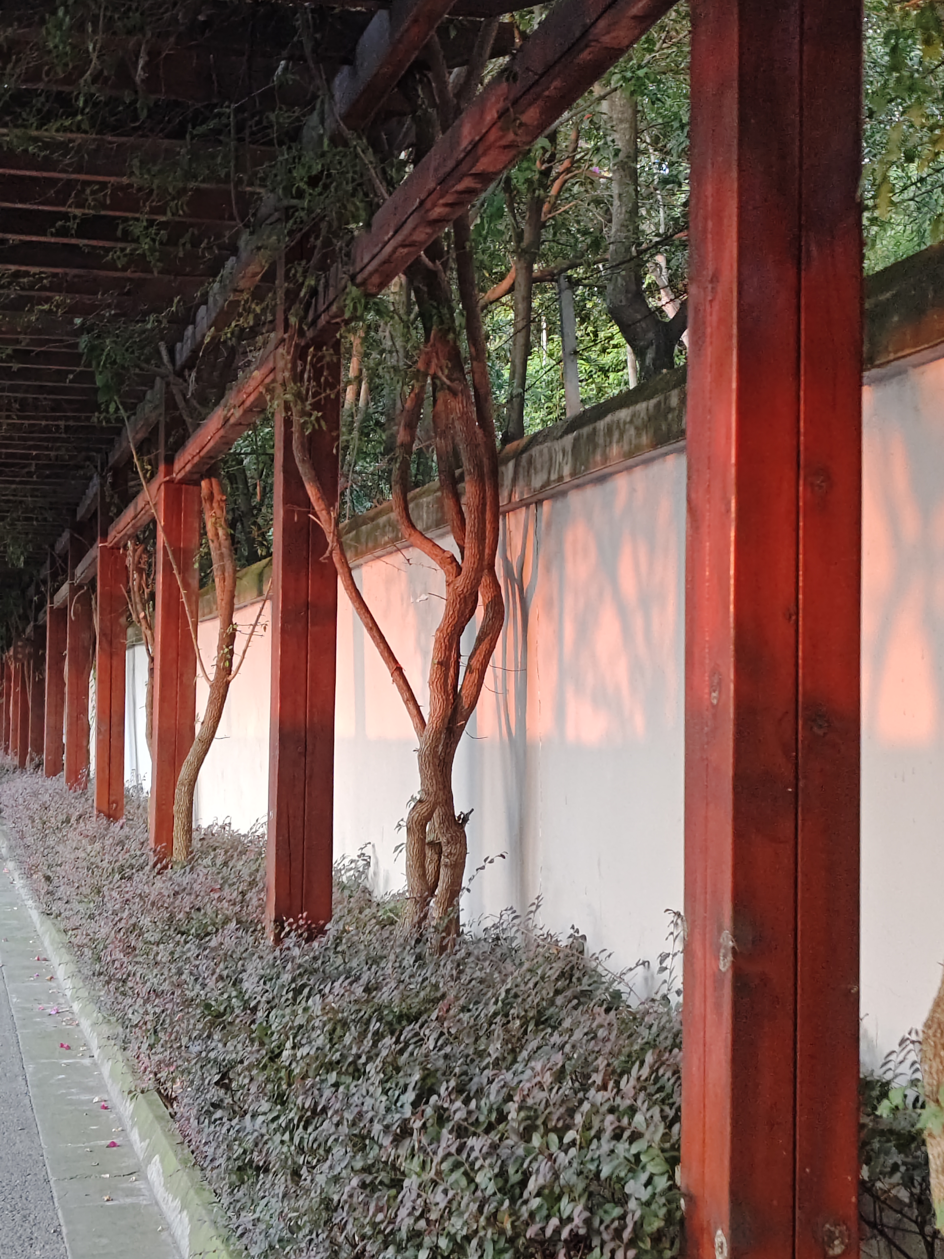 河池新居 随时看房·