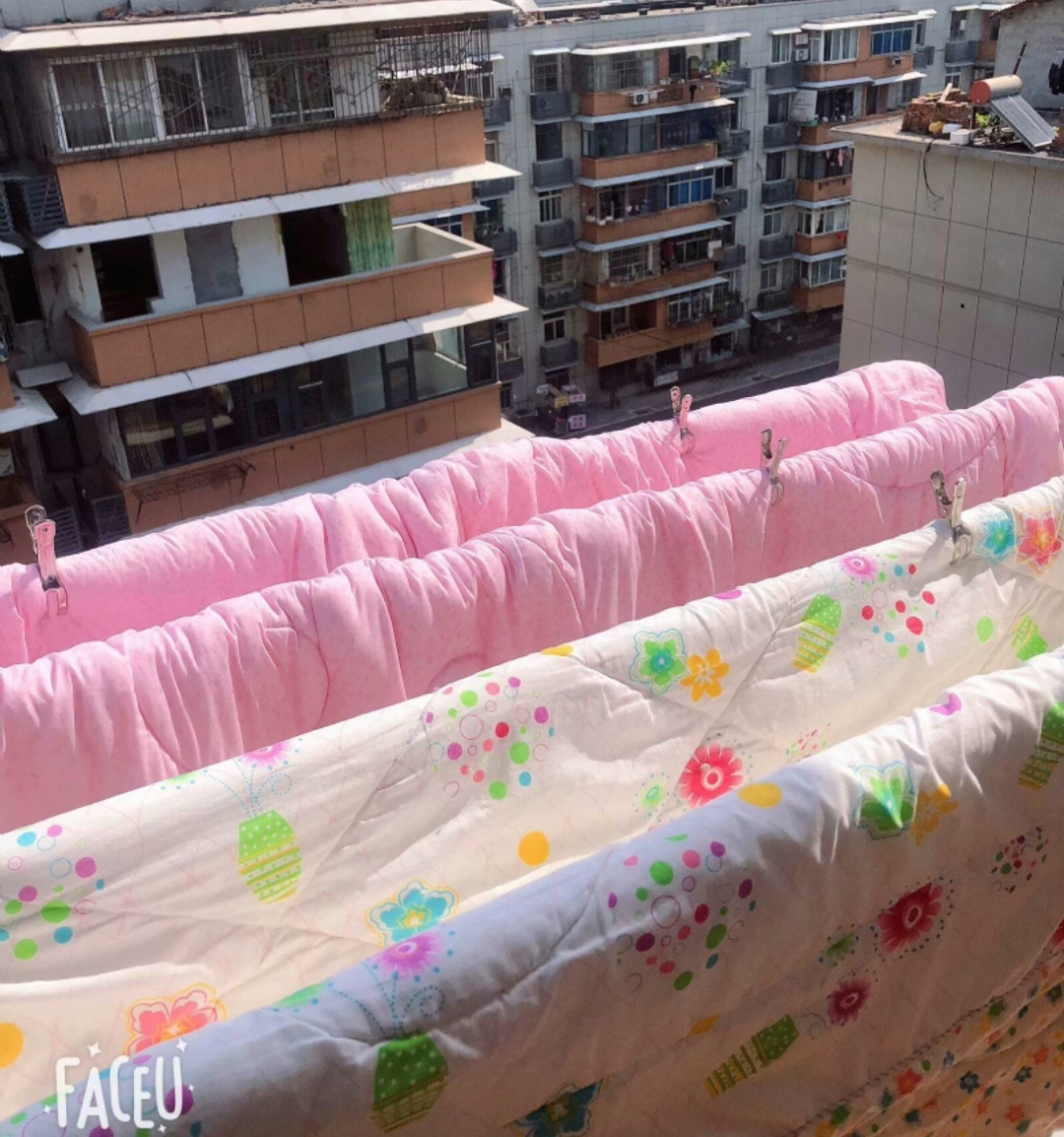 玫瑰西园 随时看房·