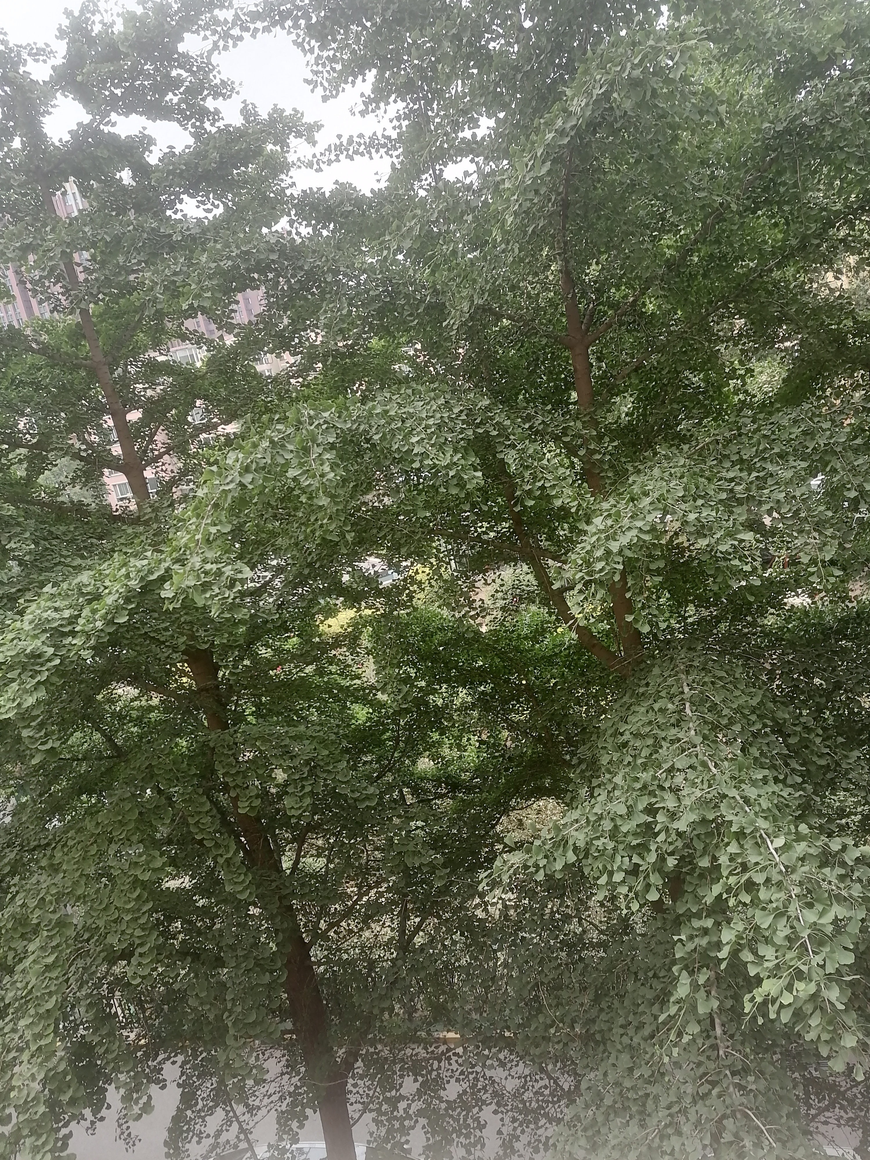 万博苑 随时看房·