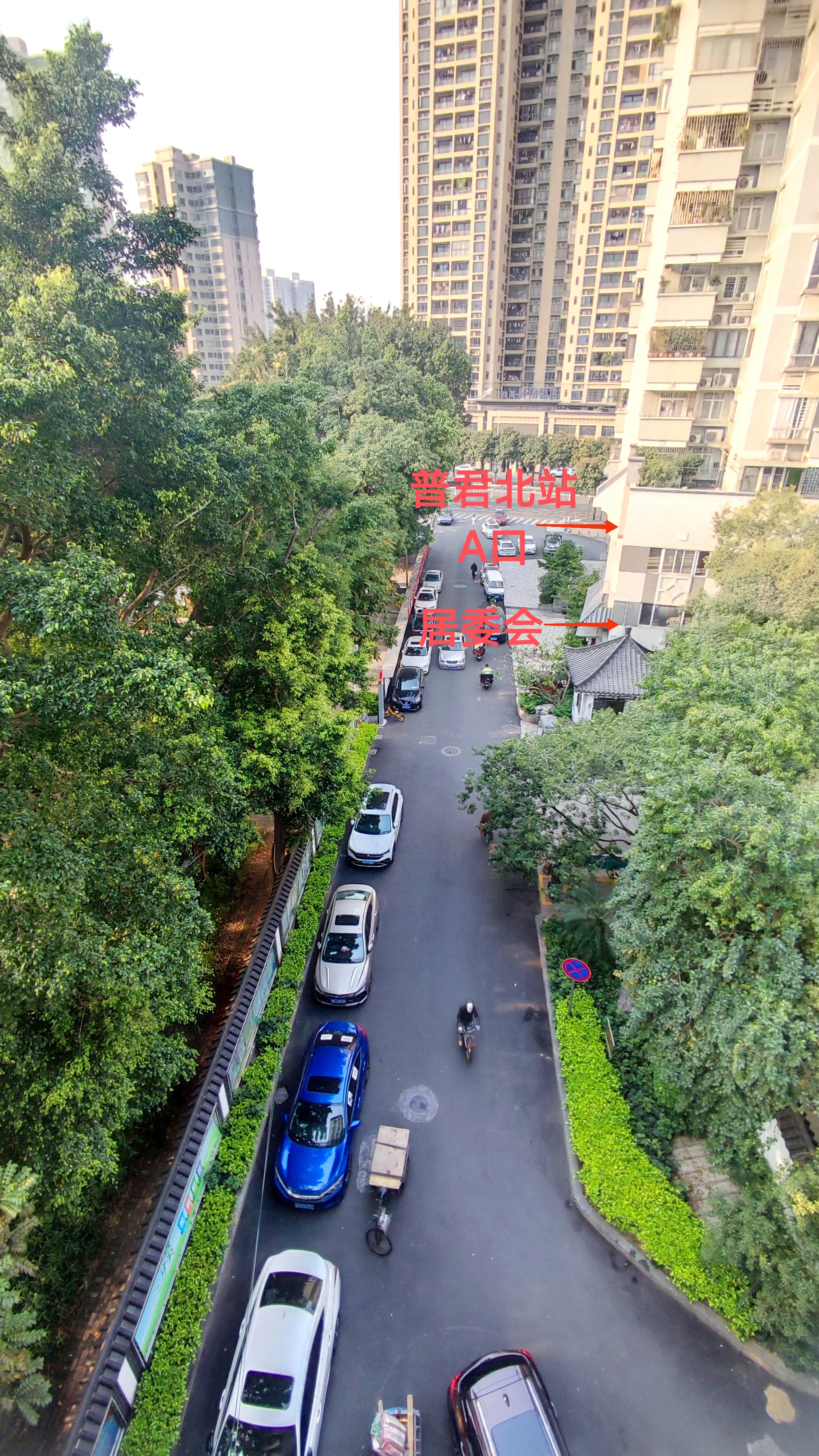 金鱼园 随时看房·