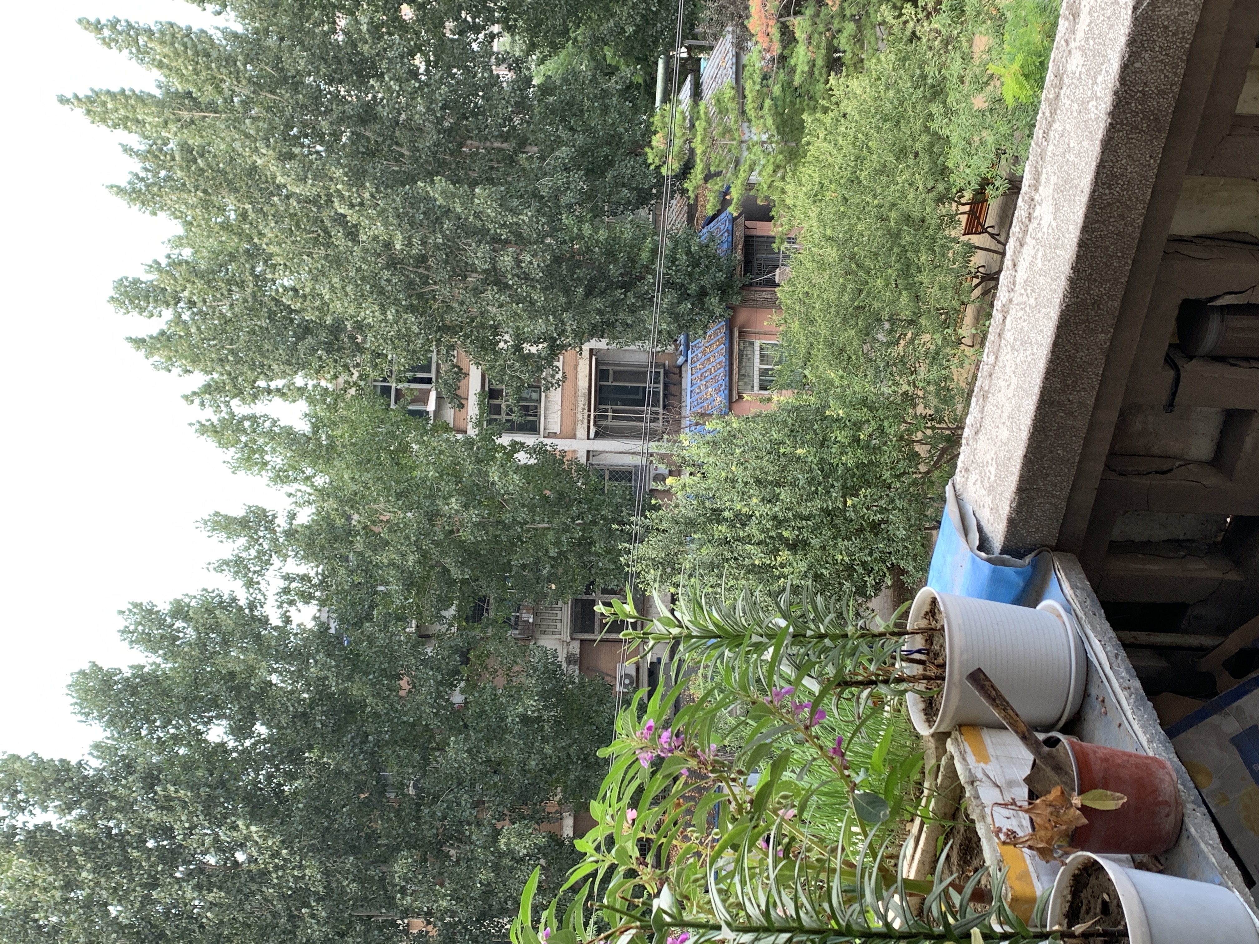 大山子南里社区 随时看房·